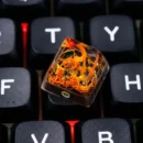 리자드 포켓몬 키캡